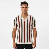 Vintage Stripe Knit Polo view 1