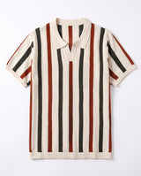Vertical Stripe Knit Polo view 2